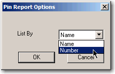 Generating a Pin Report