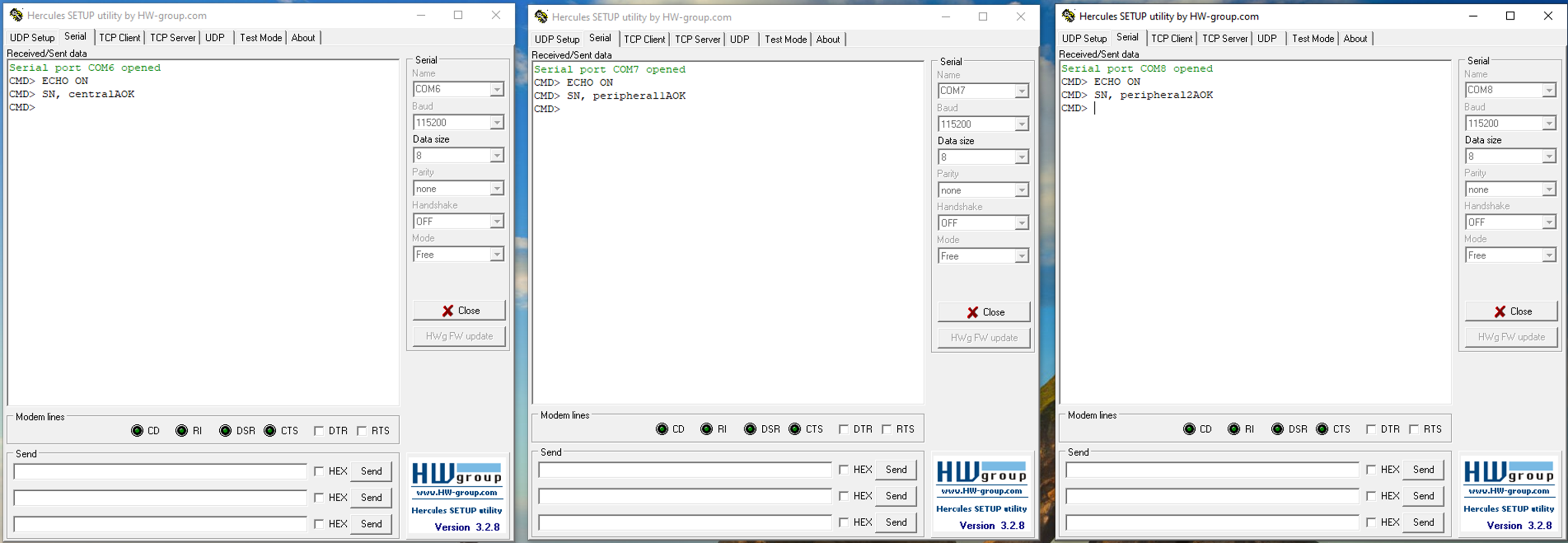 Testing the multi-link and multi-role features for RNBD451